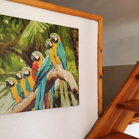 Bonita Casa Con Terraza Y Patio Empuriabrava Ngoại thất bức ảnh
